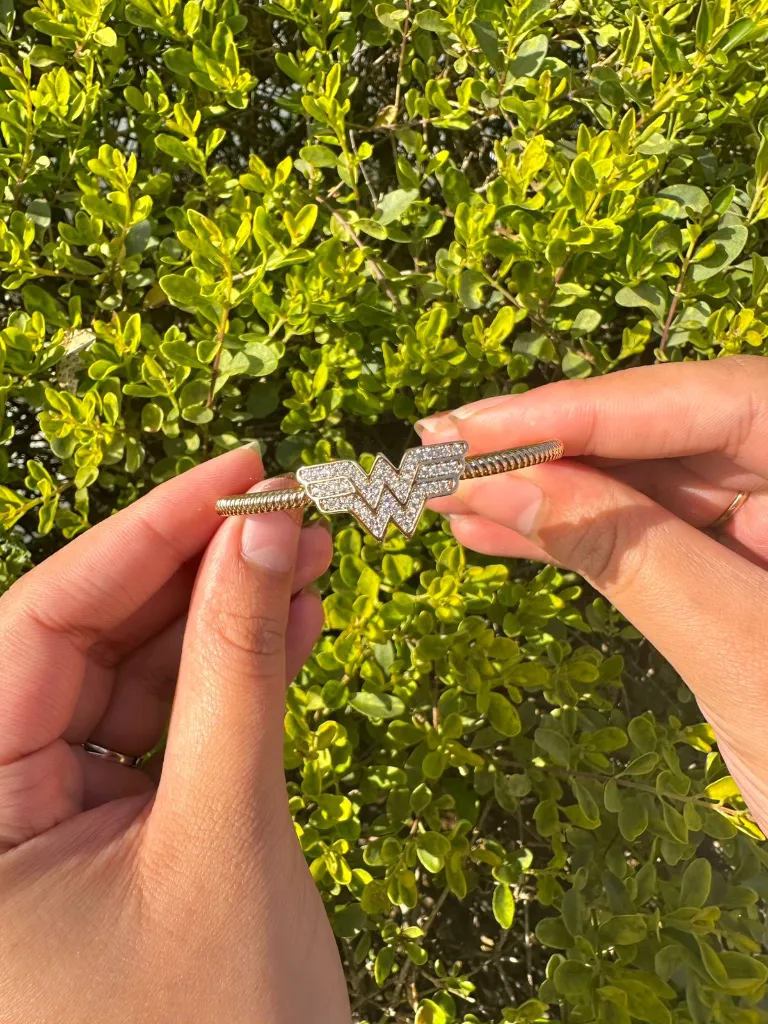 WhatsApp Image 2026-01-09 at 7.12.51 PM156666666666666.webp