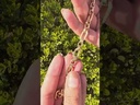 youtube - [Video]