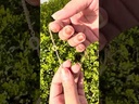 youtube - [Video]