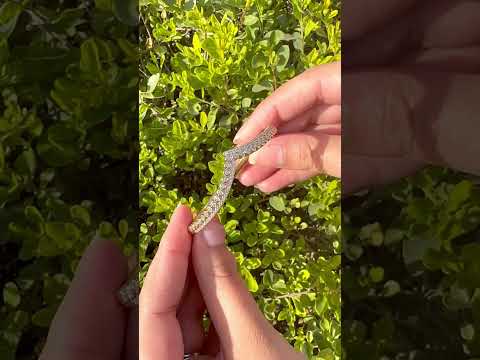 youtube - [Video]