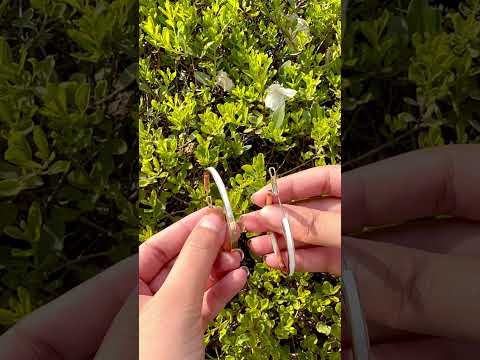 youtube - [Video]