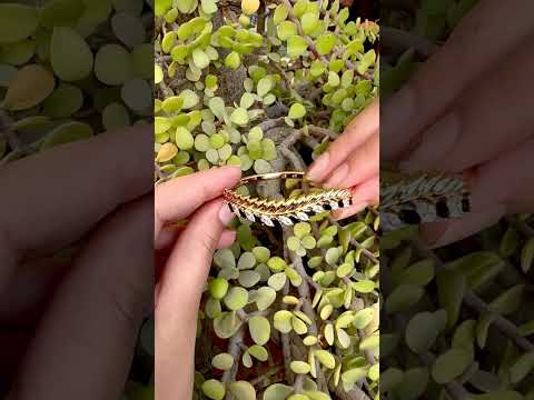 youtube - [Video]
